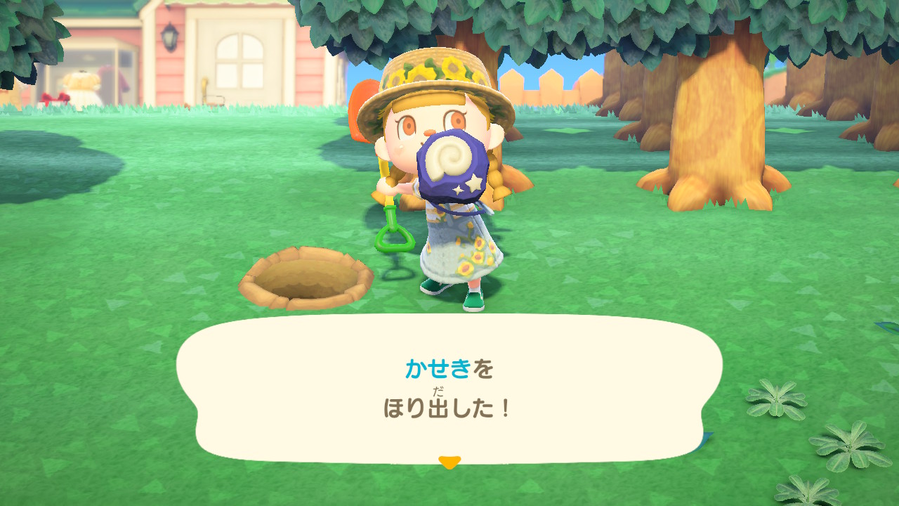 化石を掘り出す