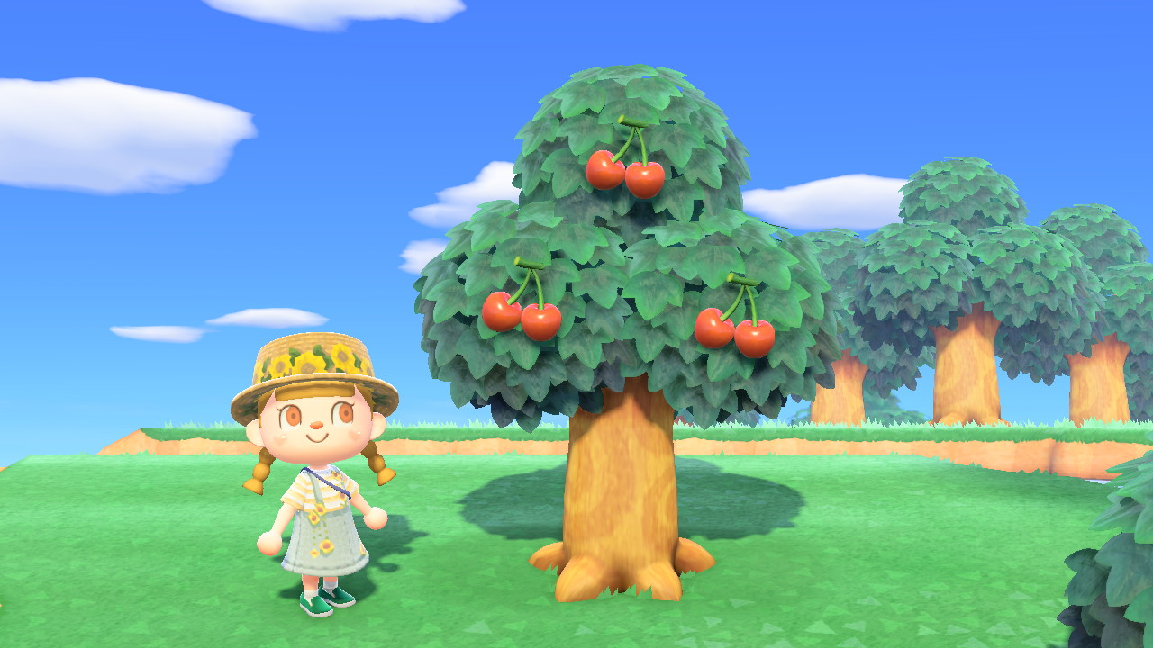 フルーツの栽培