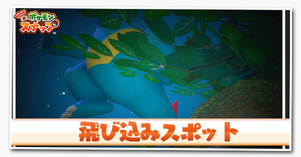 飛び込みスポット