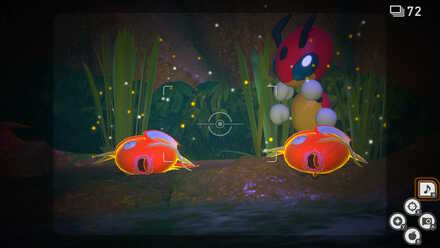 コイキングに複数回イルミナオーブを当てる