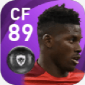 FPブレール・エンボロ(8/5)の画像