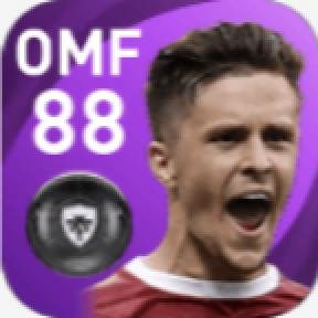 FPクリストフ・バウムガルトナー(8/5)の画像