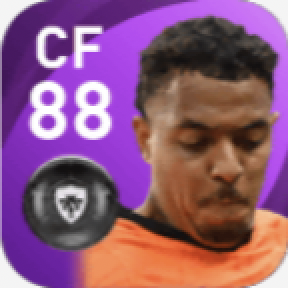 FPドニエル・マレン(8/5)の画像