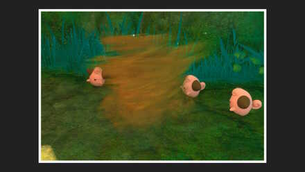 ピィにクリスタルフラワーを当てる