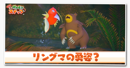 リングマの勇姿？