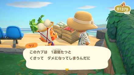 カブは1週間経つと腐る