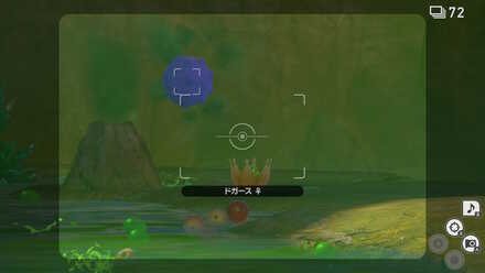 ドガースをおびき寄せる