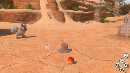 ディグダを誘導する