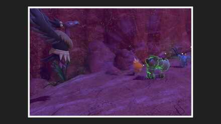 バルジーナに吠えるイワンコを撮影する