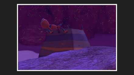 ひっくり返ったイワパレスを撮影