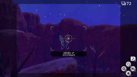 サバンナのもよう