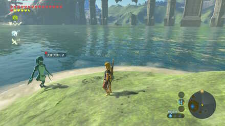 ブレワイの流された嫁の居場所