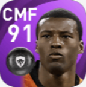 FPジョルジニオ・ワイナルドゥム(8/12)の画像