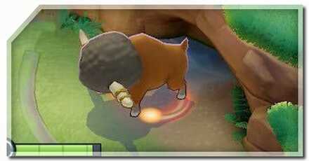 バッフロンは誰がとるべき？