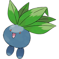 ナゾノクサ画像