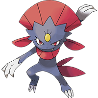 マニューラ画像