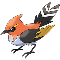 ヒノヤコマ画像