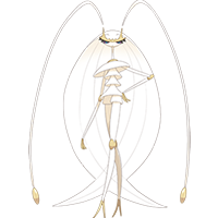 フェローチェの画像