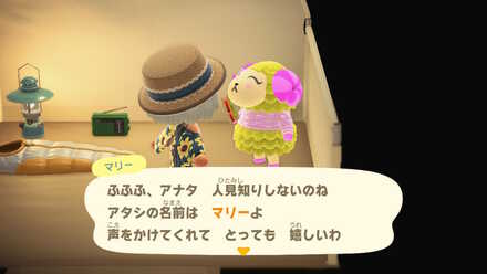 好みの住民が来たら一旦セーブする