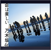 ボーダーのアイコン