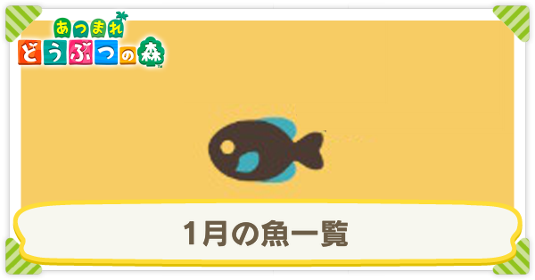 1月の魚一覧