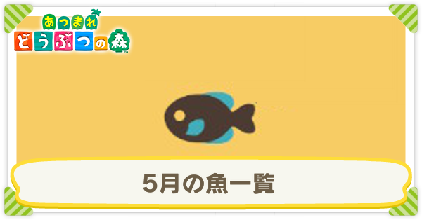 5月の魚一覧