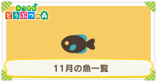 11月の魚一覧