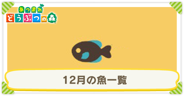 12月の魚一覧