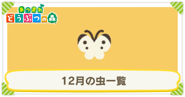 12月の虫一覧