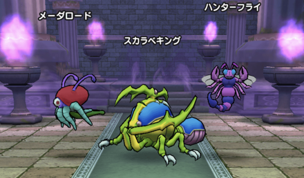 スカラベキングの基本情報