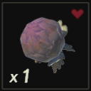 焼きヨロイソウ