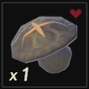 焼きヨロイダケ