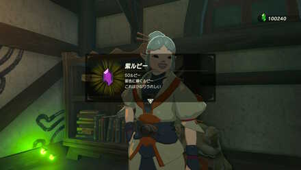 "ブレワイのホタルノヒカリ攻略"