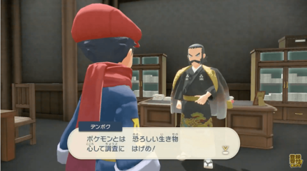 ギンガ団に入隊してポケモンの調査を行う