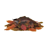 おちばのたきびのなしの画像