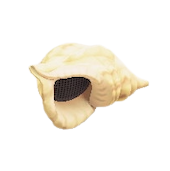 かいがらのスピーカーのホワイトの画像