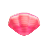 かいがらのランプのピンクの画像