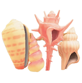 かいがらのスクリーンのピンクの画像