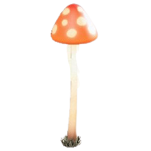 キノコのランプのあかキノコの画像