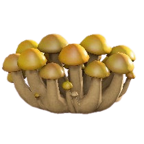 キノコのスクリーンのきいろキノコの画像