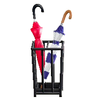 かさたてのブラックの画像