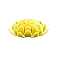 キクのクッションのイエローの画像