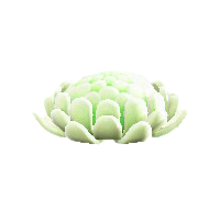 キクのクッションのホワイトの画像