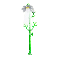 コスモスのシャワーのホワイトの画像