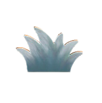 ハリボテのくさの冬の画像