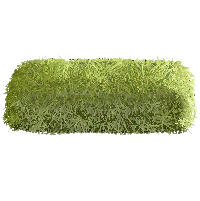 ほしくさのベッドのグリーンの画像