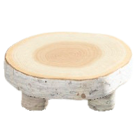 まるたのラウンドテーブルの白樺の画像