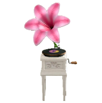 ユリのレコードプレーヤーのピンクの画像