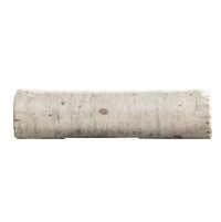 ワイルドなまるたのベンチの白樺の画像