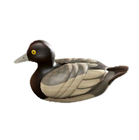 デコイのスズガモの画像